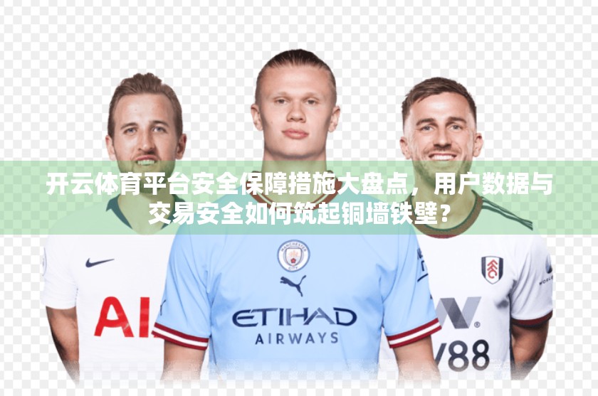开云体育平台安全保障措施大盘点，用户数据与交易安全如何筑起铜墙铁壁？