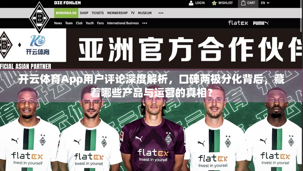 开云体育App用户评论深度解析，口碑两极分化背后，藏着哪些产品与运营的真相？