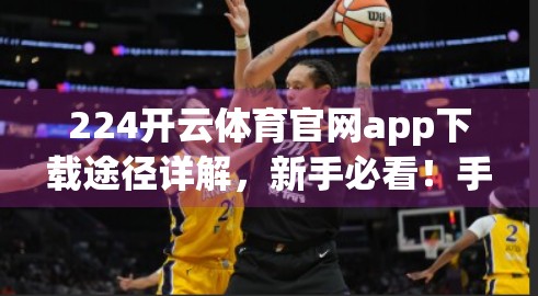 224开云体育官网app下载途径详解，新手必看！手把手教你安全获取正版体育APP