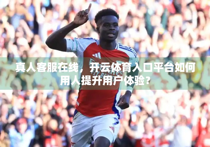 真人客服在线，开云体育入口平台如何用人提升用户体验？