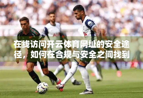 在线访问开云体育网址的安全途径，如何在合规与安全之间找到平衡？