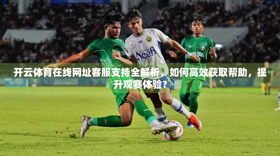 开云体育在线网址客服支持全解析，如何高效获取帮助，提升观赛体验？