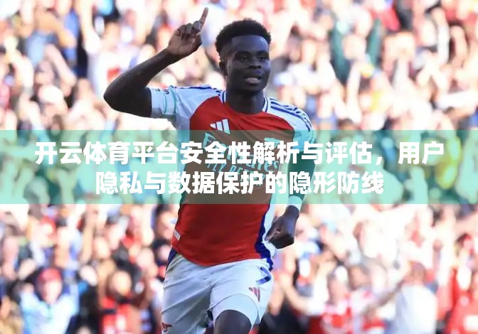 开云体育平台安全性解析与评估，用户隐私与数据保护的隐形防线