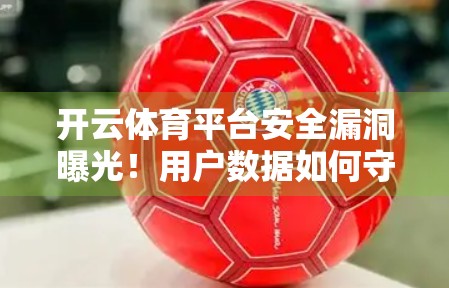 开云体育平台安全漏洞曝光！用户数据如何守住最后一道防线？