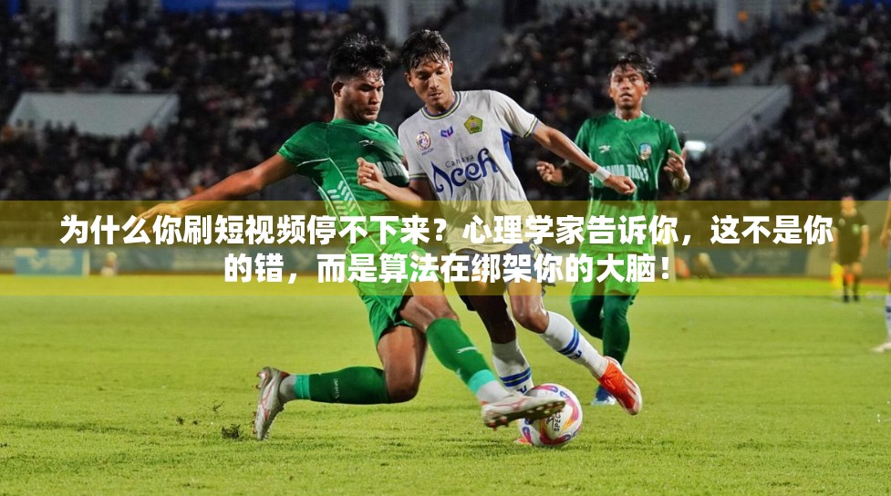 为什么你刷短视频停不下来？心理学家告诉你，这不是你的错，而是算法在绑架你的大脑！