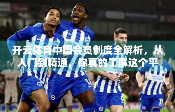 开云体育中国会员制度全解析，从入门到精通，你真的了解这个平台的隐藏福利吗？