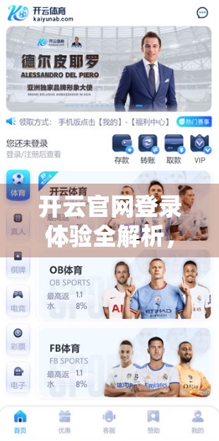 开云官网登录体验全解析，便捷与痛点并存，这份使用建议请收好！