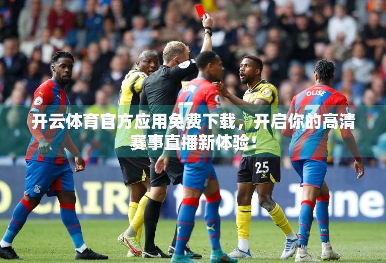 开云体育官方应用免费下载，开启你的高清赛事直播新体验！
