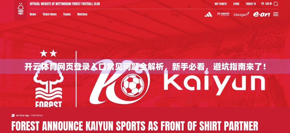 开云体育网页登录入口常见问题全解析，新手必看，避坑指南来了！