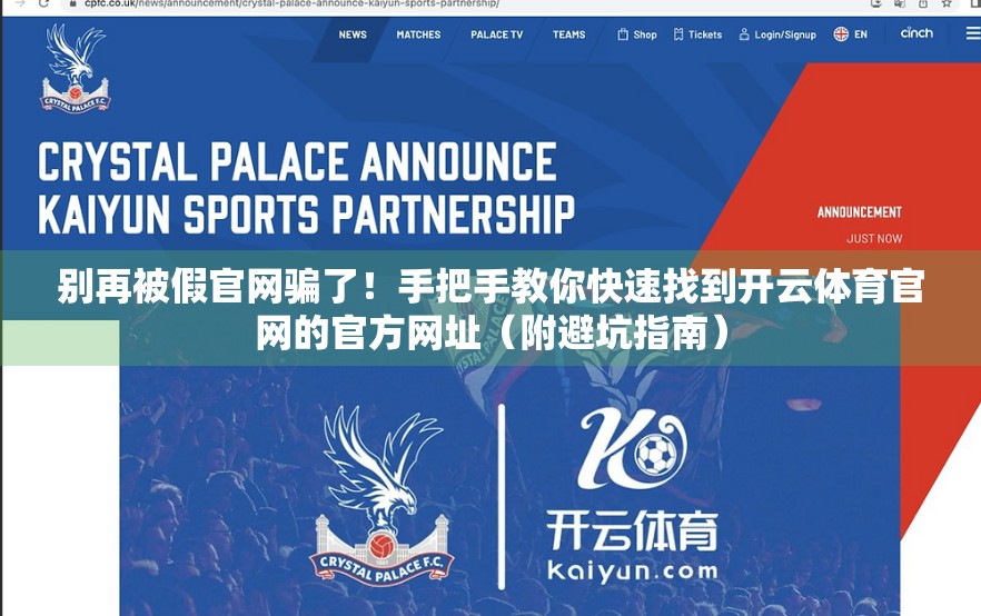 别再被假官网骗了！手把手教你快速找到开云体育官网的官方网址（附避坑指南）