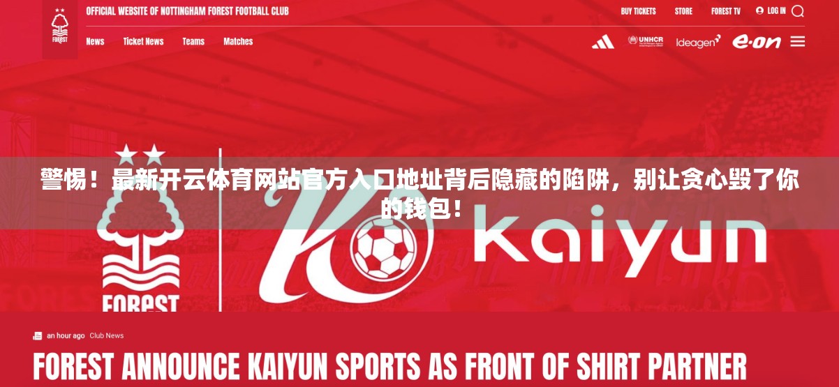 警惕！最新开云体育网站官方入口地址背后隐藏的陷阱，别让贪心毁了你的钱包！